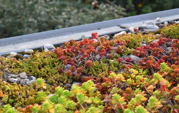 the cost of Bispham green roof installation