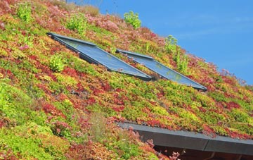 Bispham living roof systems