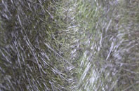 Bispham fibreglass roof work