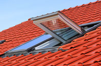 Bispham roof window